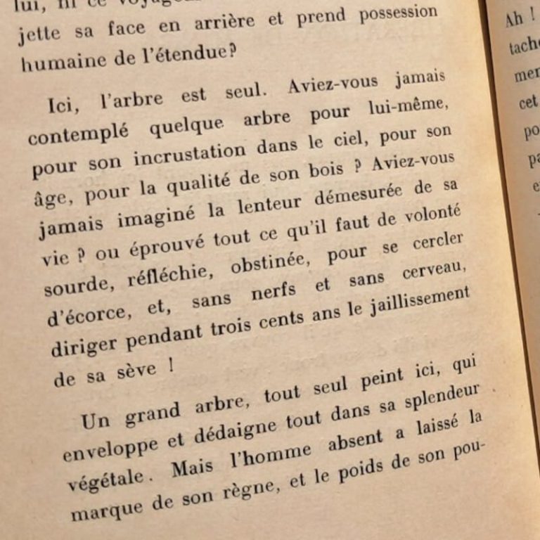 Photo : Victor Segalen. Peintures. Nouvelle collection « Les proses », Georges Crès et Cie, Paris, 1916